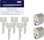 Cylinder oval LL 2-pack 5 nycklar nickel SSF3