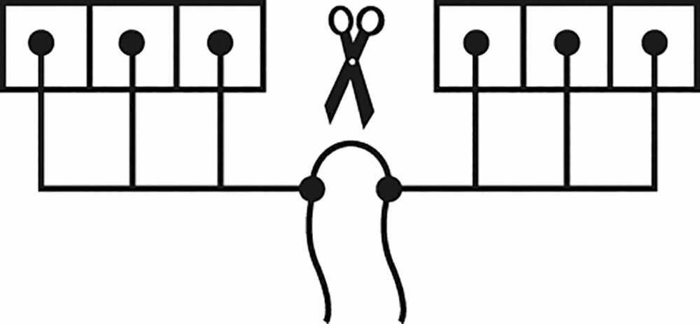 Övriga artikelbilder