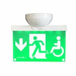 Piktogram N20SSR-D1HC 20m Pil ned Handikappsymbol