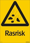 Rasrisk