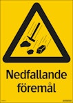 Nedfallande föremål